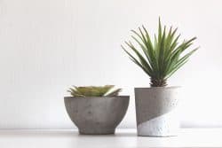 concrete plant pots 